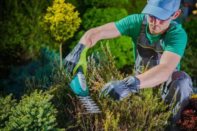 landscaping services Liverpool